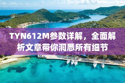TYN612M参数详解，全面解析文章带你洞悉所有细节