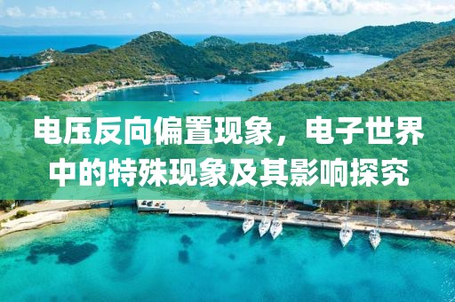 电压反向偏置现象，电子世界中的特殊现象及其影响探究