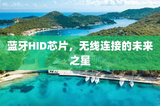蓝牙HID芯片，无线连接的未来之星