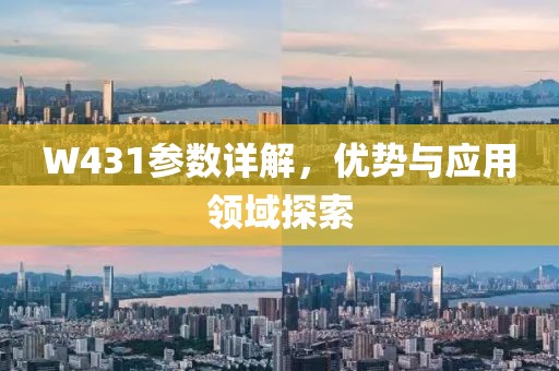 W431参数详解，优势与应用领域探索