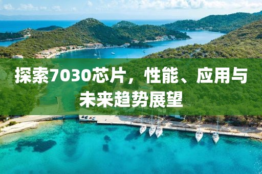 探索7030芯片，性能、应用与未来趋势展望