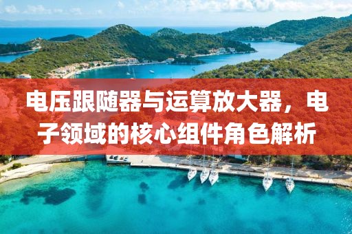 电压跟随器与运算放大器，电子领域的核心组件角色解析
