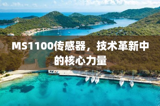 MS1100传感器，技术革新中的核心力量
