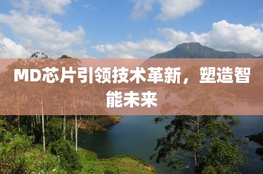 MD芯片引领技术革新，塑造智能未来