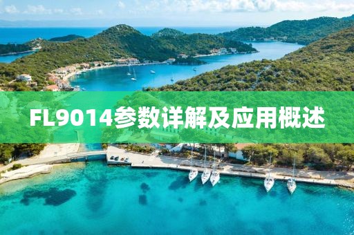 FL9014参数详解及应用概述