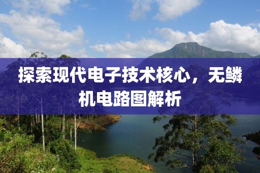 探索现代电子技术核心，无鳞机电路图解析
