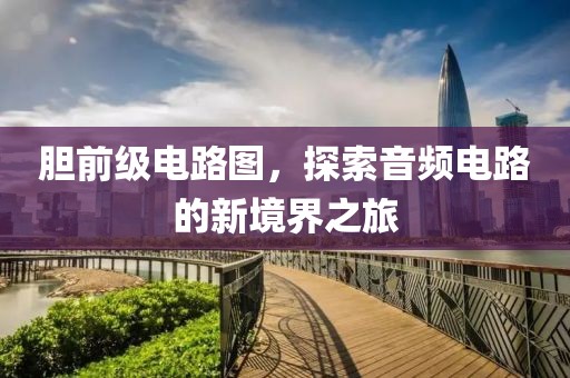 胆前级电路图，探索音频电路的新境界之旅