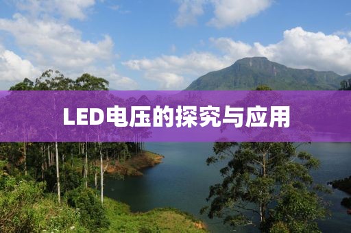 2025年6月12日 第7页