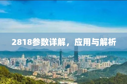 2818参数详解，应用与解析