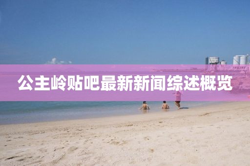 公主岭贴吧最新新闻综述概览