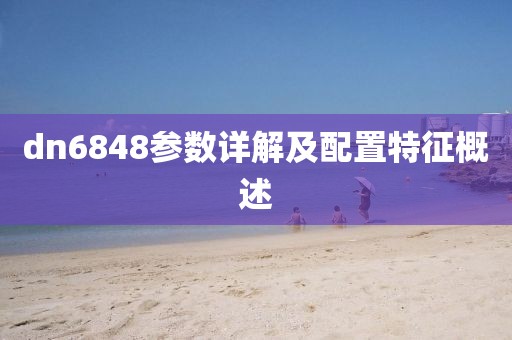 dn6848参数详解及配置特征概述