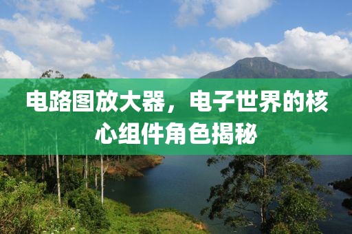 电路图放大器，电子世界的核心组件角色揭秘