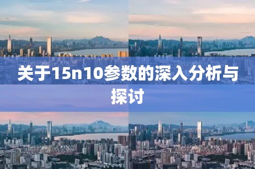 关于15n10参数的深入分析与探讨