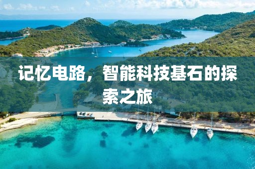 记忆电路，智能科技基石的探索之旅