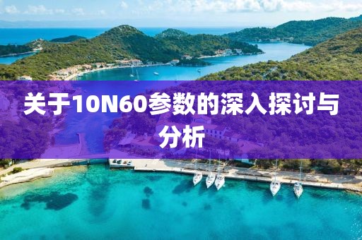 关于10N60参数的深入探讨与分析