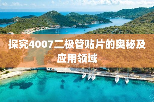 探究4007二极管贴片的奥秘及应用领域