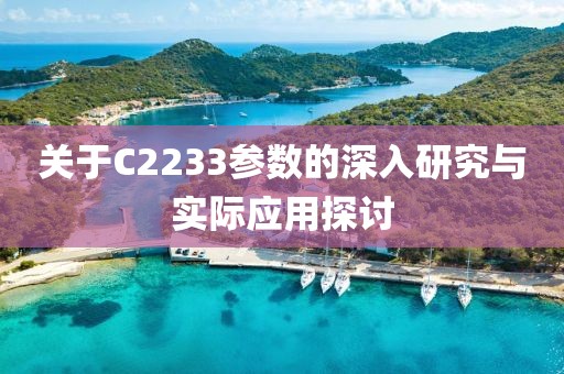 关于C2233参数的深入研究与实际应用探讨