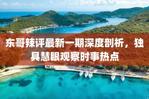 东哥辣评最新一期深度剖析，独具慧眼观察时事热点