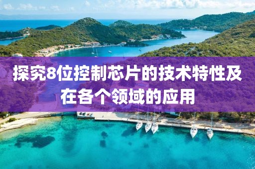 探究8位控制芯片的技术特性及在各个领域的应用