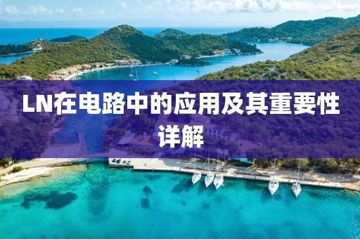 LN在电路中的应用及其重要性详解