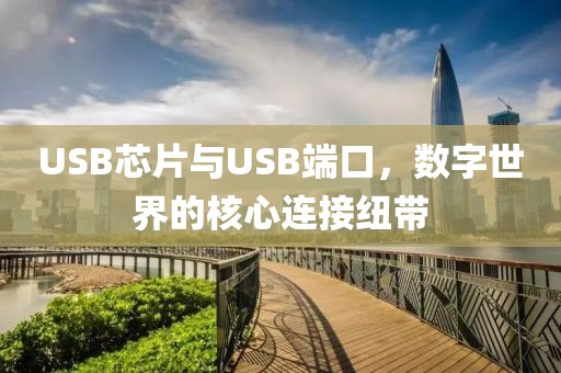 USB芯片与USB端口，数字世界的核心连接纽带