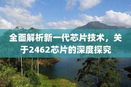 全面解析新一代芯片技术，关于2462芯片的深度探究