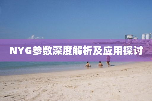 NYG参数深度解析及应用探讨