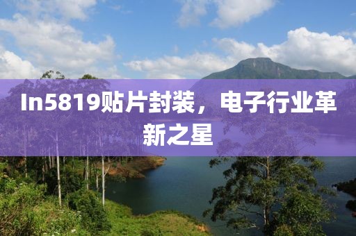 In5819贴片封装，电子行业革新之星