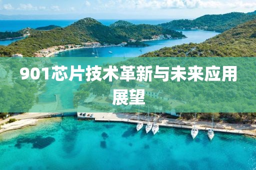 901芯片技术革新与未来应用展望