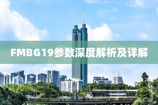 FMBG19参数深度解析及详解