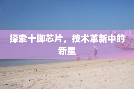探索十脚芯片，技术革新中的新星