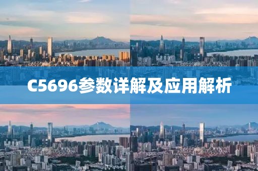C5696参数详解及应用解析