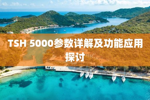 TSH 5000参数详解及功能应用探讨
