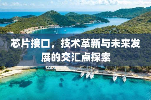 芯片接口，技术革新与未来发展的交汇点探索