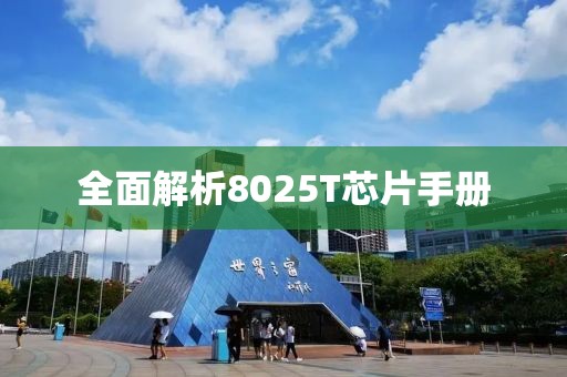 全面解析8025T芯片手册