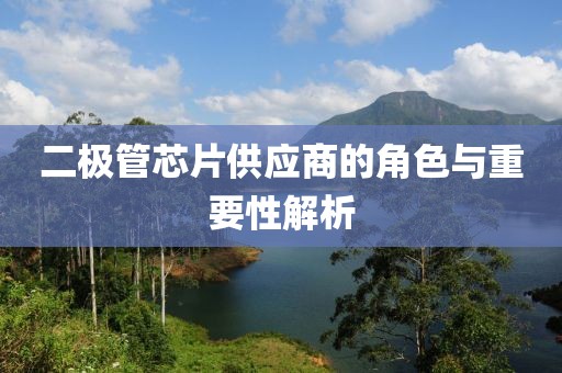 二极管芯片供应商的角色与重要性解析