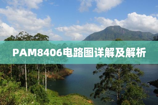 PAM8406电路图详解及解析