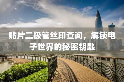 贴片二极管丝印查询，解锁电子世界的秘密钥匙