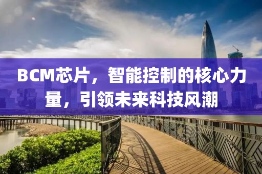 BCM芯片，智能控制的核心力量，引领未来科技风潮
