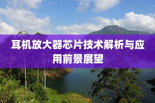耳机放大器芯片技术解析与应用前景展望