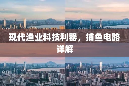 现代渔业科技利器，捕鱼电路详解