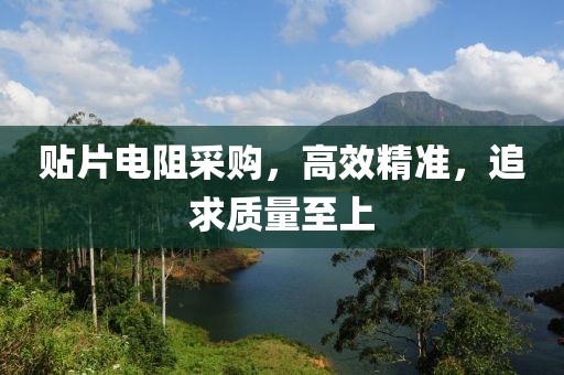 贴片电阻采购，高效精准，追求质量至上