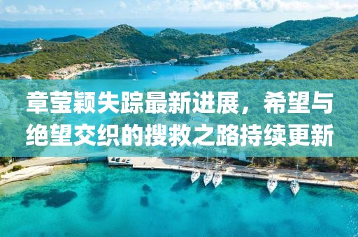 章莹颖失踪最新进展，希望与绝望交织的搜救之路持续更新