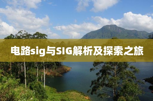 电路sig与SIG解析及探索之旅