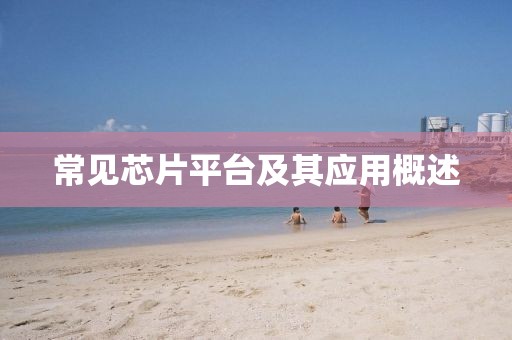常见芯片平台及其应用概述