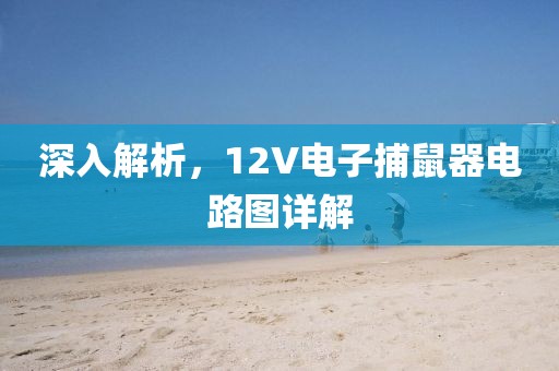 深入解析，12V电子捕鼠器电路图详解