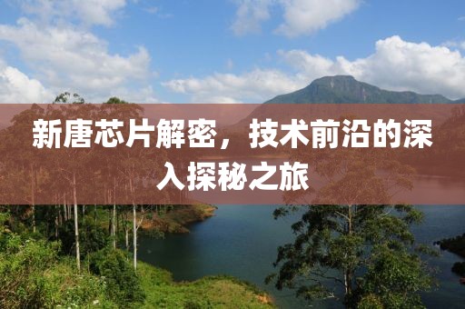新唐芯片解密，技术前沿的深入探秘之旅