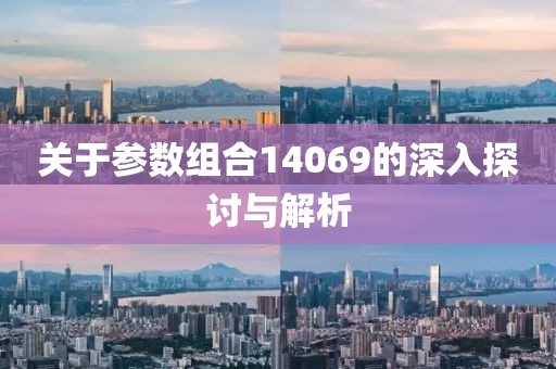 关于参数组合14069的深入探讨与解析