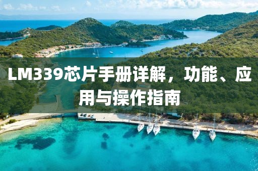 LM339芯片手册详解，功能、应用与操作指南