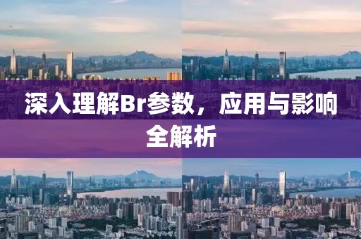 深入理解Br参数，应用与影响全解析